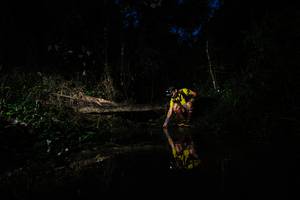 BIB: 
                            <button type="button" onclick="openModal(22455865)" class="btn btn-primary btn-sm float-right btn-popup" data-toggle="modal" data-target=".modal-high-quality">
                        <i class="fas fa-shopping-cart"></i> Add to Cart
                    </button>
                                            <button type="button" onclick="isThisMe(22455865, true)" class="btn btn-success btn-sm float-right btn-popup btn-isme hidden" data-toggle="tooltip" data-placement="bottom" title="นี่คือรูปของคุณใช่ไหม คลิกที่นี่เพื่อเอาเข้าอัลบั้ม">
                        <i class="fas fa-plus"></i> Add to album
                    </button>
                    <button type="button" onclick="isThisMe(22455865, false)" class="btn btn-warning btn-sm float-right btn-popup btn-isnotme hidden">
                        <i class="fas fa-ban"></i> Remove from album
                    </button>